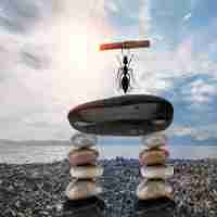 kubernetes入​门‌指‌南‌